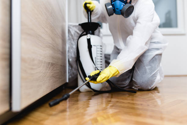  Chenango Bridge, NY Pest Control Pros