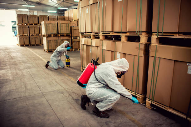 Best Local Pest Control Services  in Chenango Bridge, NY