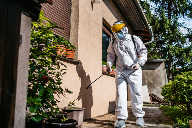 Best Wasp Removal Services  in Chenango Bridge, NY