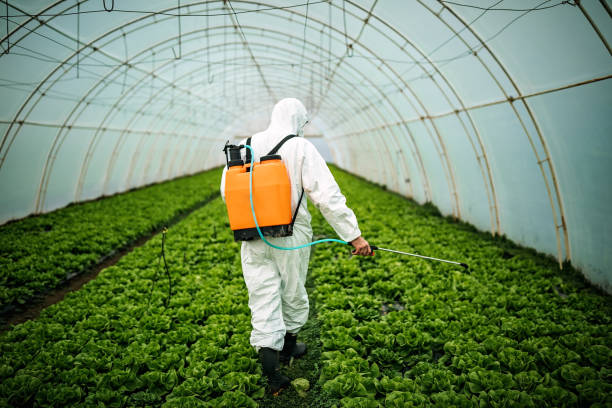 Best Pest Inspection Near Me  in Chenango Bridge, NY