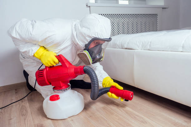 Best Mosquito Control Services  in Chenango Bridge, NY