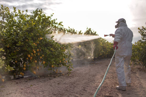 Best Pest Control Near Me  in Chenango Bridge, NY