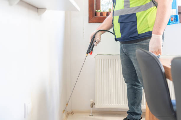 Best Flea Control Services  in Chenango Bridge, NY