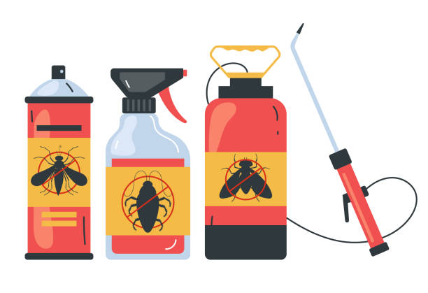 Best Ant Control Services  in Chenango Bridge, NY