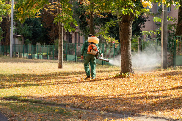 Reliable Chenango Bridge, NY Pest Control Solutions