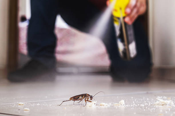 Best Best Pest Control Companies  in Chenango Bridge, NY