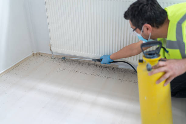 Best Affordable Pest Control Services  in Chenango Bridge, NY